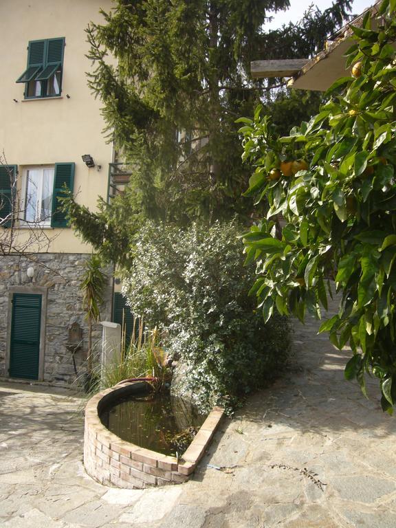 Agriturismo Olivarancio Leivi Exteriör bild