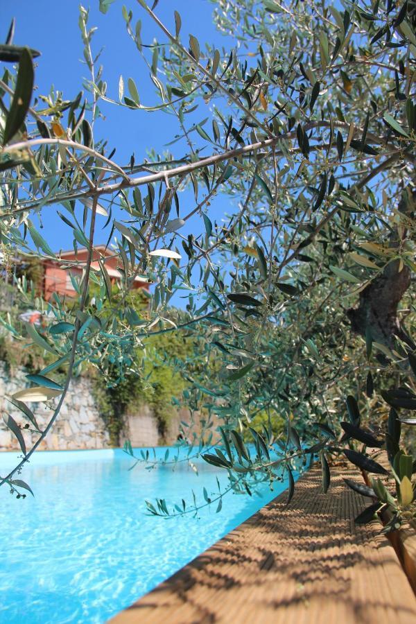 Agriturismo Olivarancio Leivi Exteriör bild